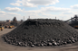Coal